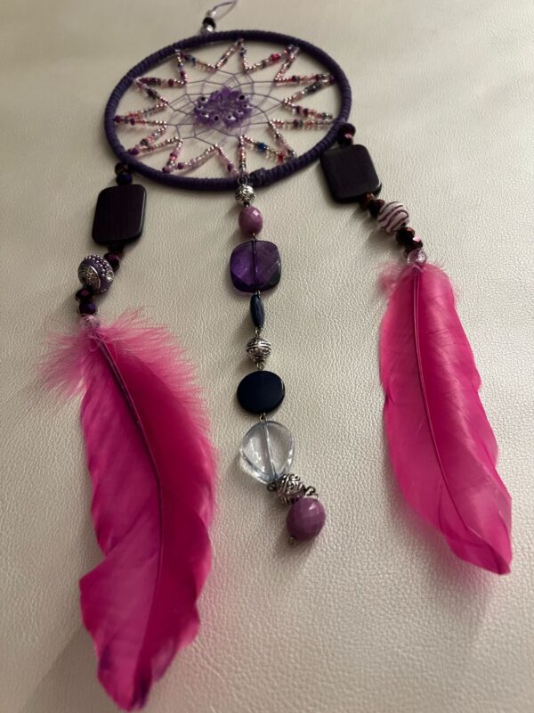 WhatsApp Image 2025-04-12 at 21.36.43_e2338978 Pink Feather Dreamcatcher
